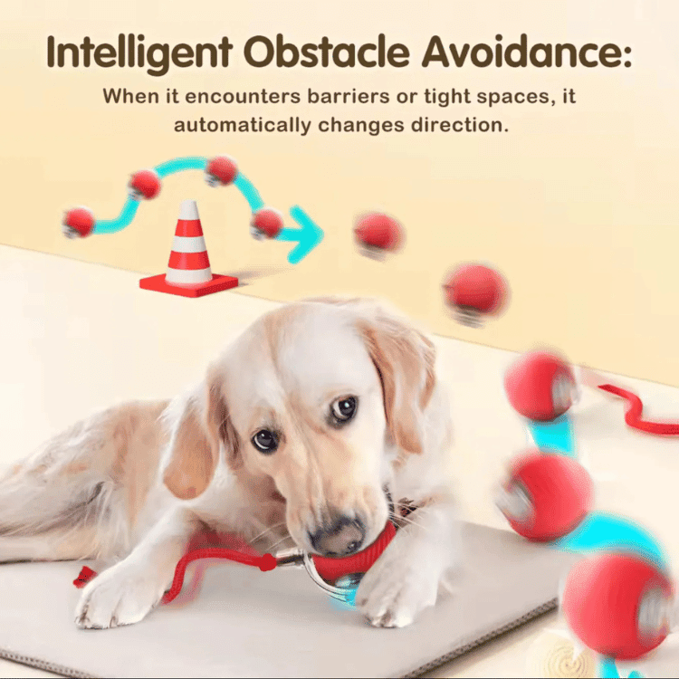 PawSpin™ Smart Interactive Rolling Ball for Cats & Dogs - BrinoaPawSpin™ Smart Interactive Rolling Ball for Cats & DogsPawSpin™ Smart Interactive Rolling Ball for Cats & Dogs
